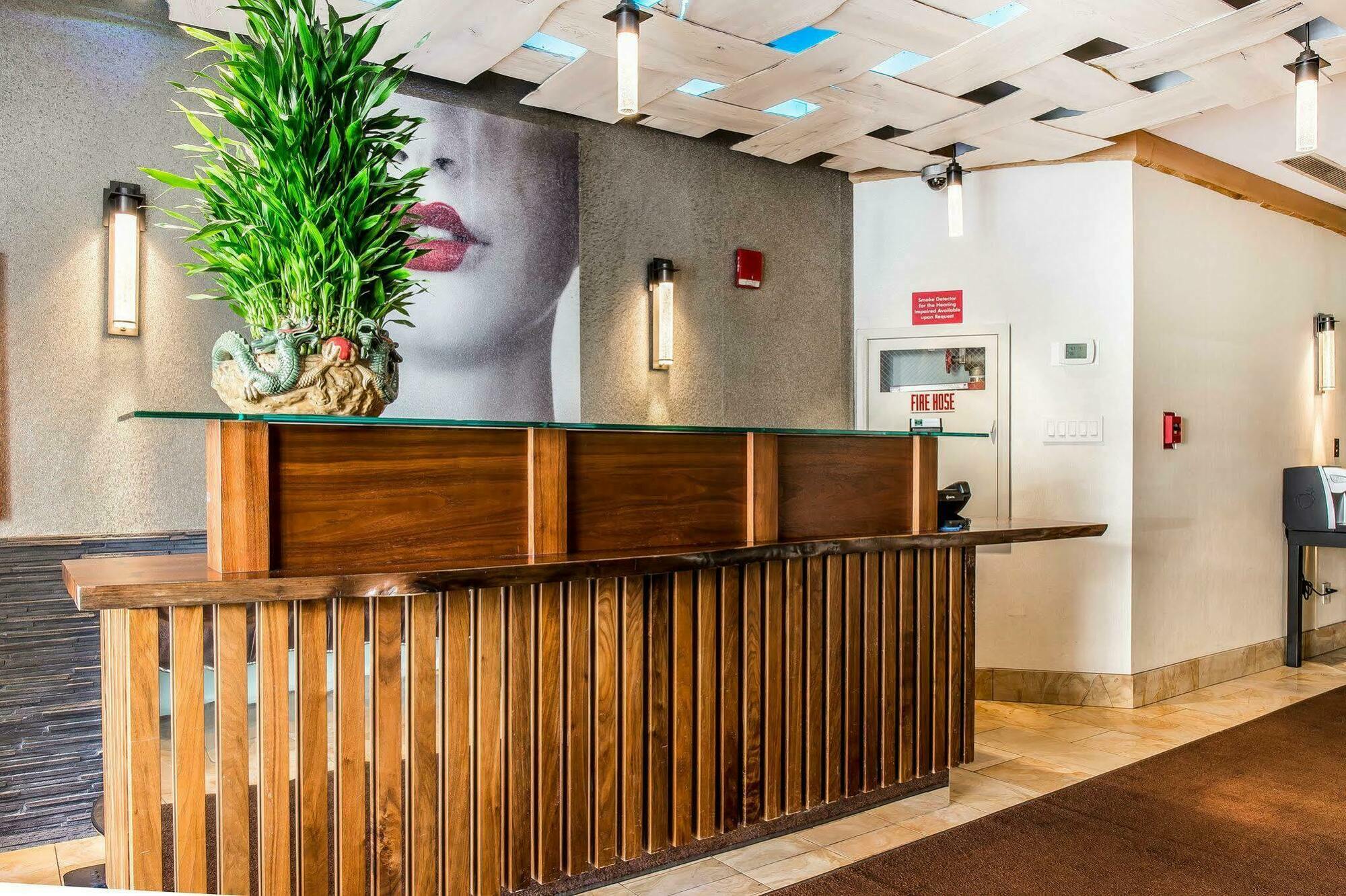 Solita Soho Hotel Νέα Υόρκη Εξωτερικό φωτογραφία